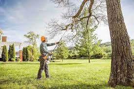 How Our Tree Care Process Works  in  Shorewood Hills, WI